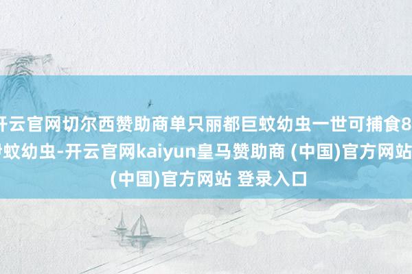 开云官网切尔西赞助商单只丽都巨蚊幼虫一世可捕食80-100条伊蚊幼虫-开云官网kaiyun皇马赞助商 (中国)官方网站 登录入口