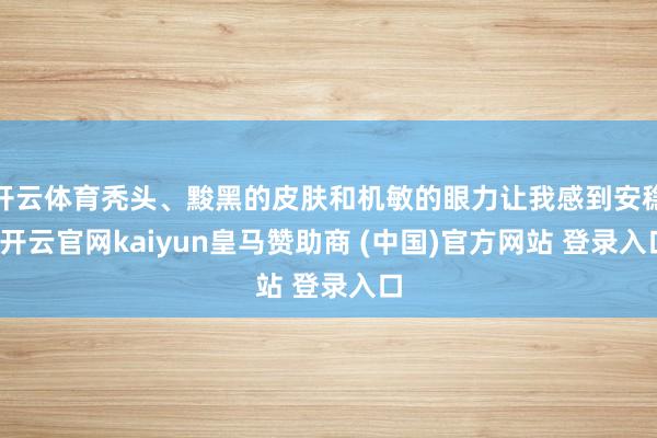 开云体育秃头、黢黑的皮肤和机敏的眼力让我感到安稳-开云官网kaiyun皇马赞助商 (中国)官方网站 登录入口