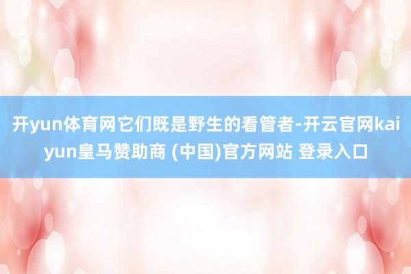 开yun体育网它们既是野生的看管者-开云官网kaiyun皇马赞助商 (中国)官方网站 登录入口